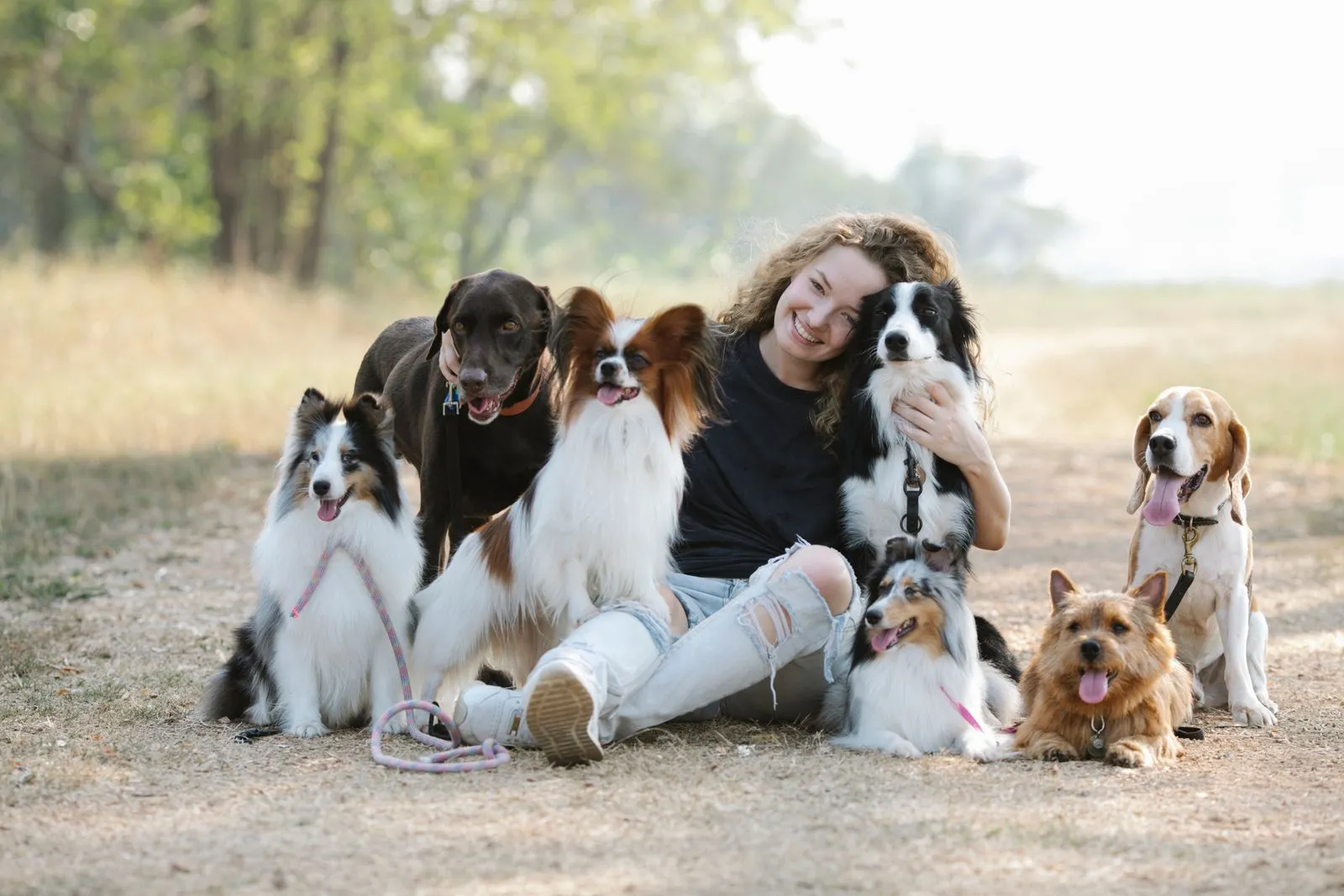 Is Your Dog Ready for Group Walks?